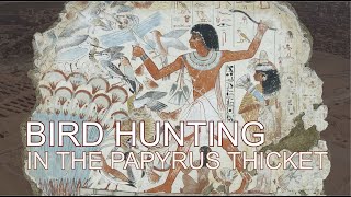 Bird hunting in the papyrus thicket