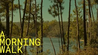 𝐏𝐥𝐚𝐲𝐥𝐢𝐬𝐭 Good Morning Music (Country/Fork) /아침에 듣기 좋은 음악 (컨트리/포크)