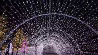 Winter Illumination - Osaka Castle