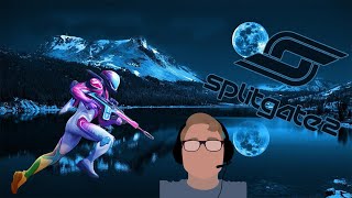 Trying out a new game (Split gate 2) - Livestream footage
