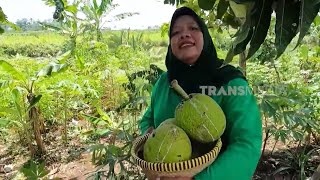 [FULL] MASAKAN UNIK ALA EMAK ENAH | ENAH BIKIN ENAK (18/07/24)