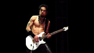 EPISODE III - PRS SE - Dave Navarro Signature