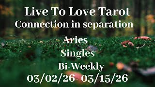 ♈️ Aries love reads🧚‍♀️Reset🧚‍♀️