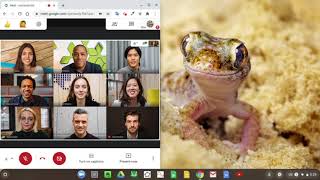 How to split a screen on a chromebook