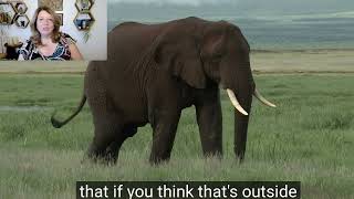 African Safari FAQs - Can I Take My Kids on Safari?