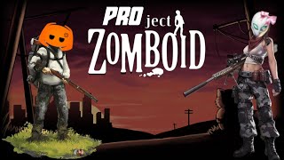 Backseat Gaming Project Zomboid on Discord