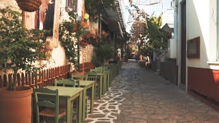 Nature Footage Video | Landscape Video