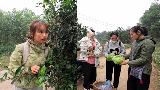 The woman wanders and her journey from the vegetable garden to the front door. Ly Vy Ca 
