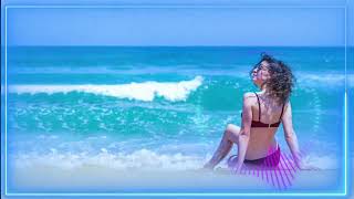 The Summer Best ( Original Mix )
