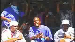 Snoopy Blue - On Crip