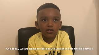 Mr Zoology Hurricanes and Marine Animals