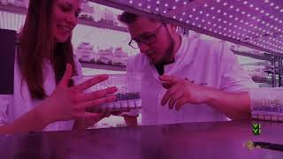 ViVi - WeGrow