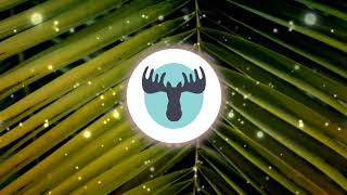 Copyright Free Music: Kevin MacLeod - If I Had a Chicken