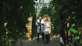 Growing, producing GMO food products. Scientists working on new type of genetic modification of