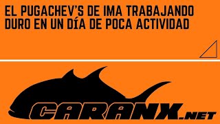 El paseante de superficie Pugachev's de IMA trabajando duro en un día de poca actividad