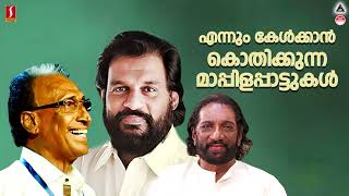 എന്നും കേൾക്കാൻ കൊതിക്കുന്ന മാപ്പിളപ്പാട്ടുകൾ | #mappilappattu | #yesudas | #eranholimoosa |#markose