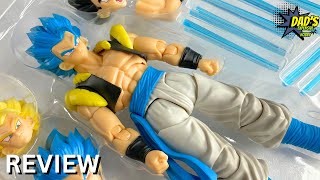 Demoniacal Fit HERO WALTZ- The Supreme Dance GOGETA REVIEW