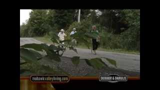 Mohawk Valley Living #407 Ava, Rome, Bouckville