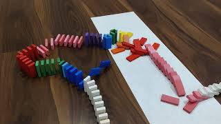 Screen Link video 2 (i)