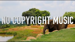 Cumbia City - Music For Content Creators (No Copyright)