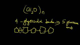 Biology past paper review [39 - 15]