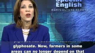 Farmers Learning Limits of Popular Herbicide