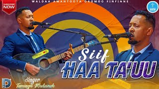 Siif Haa Ta'uu - Tamagn Muluneh @WaldaaAmantootaOromooFinfinnee