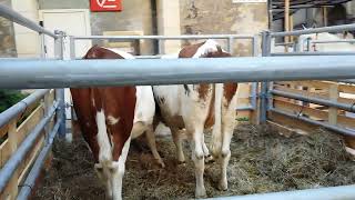 Salon de l'agriculture 24 26 juin 2022  Sarlat  la Caneda