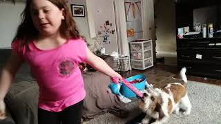 Something fun to watch