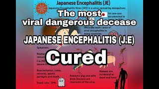 #_JAPANESE#INCEPHALITIS##Cured In North #!East India!!