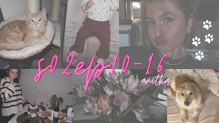 odcinki ♡ weekly vlog s02ep10-16