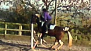 Part Of My Riding Life