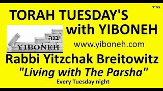 Rabbi Yitzchak Breitowitz: The Righteous Shall Live by His Faith.