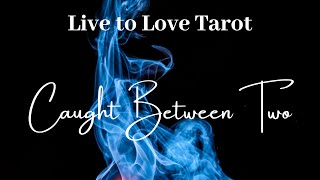 💫Caught Between Two Read💫