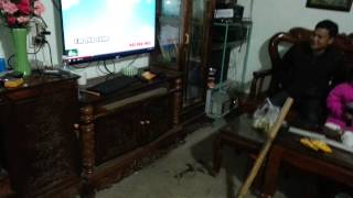 3 tuổn chưa biết chữ đã biết hát