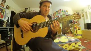 53 Pepita  Francisco Tárrega