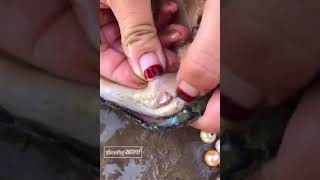 Do you know about how is " Pearl Ring" Process...? 🤔😲😄 Give me more supports points & this 👍 Thanks!