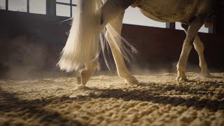 Blackburn Architects Vertical Brand Video (60sec) | Instagram & TikTok Optimized