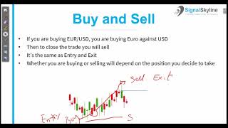 BREAKING DOWN FOREX JARGON I Common trading words and terms
