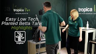Easy Low Tech Planted Betta Tank | Tropica Live Highlights