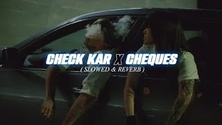 Check Kar X Cheques (Slowed & Reverb) - Parmish Verma, Paradox & Shubh