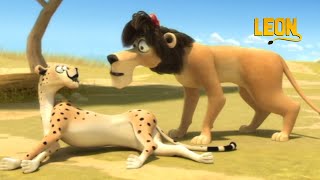 4x400m | Leon the Lion | 75' Compilation | Crazy animals