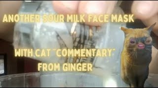 Another Sour Milk Face Mask with Cat "Commentary" from Ginger