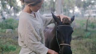 Alamayah Experience, a holiday that heals from within