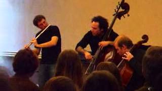 Greg Pattillo and Project - Mid-Atlantic Flute Fair - 2008