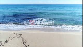 FREE ROYALTY-FREE 4K DRONE FOOTAGE BEACH