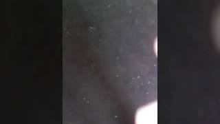 Md rashid hindi song