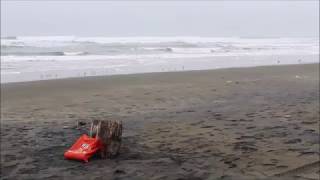 Dill Spears - “All My Money” by Dan Reeder - LIVE from OCEAN BEACH