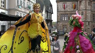 Stelzen-Art beim Marburger Frühling 2026