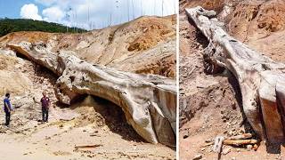 Top 10 Forbidden Discoveries Made In 2025 So Far